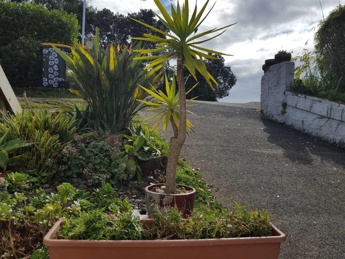 Harbour View Guesthouse Auckland Exterior photo